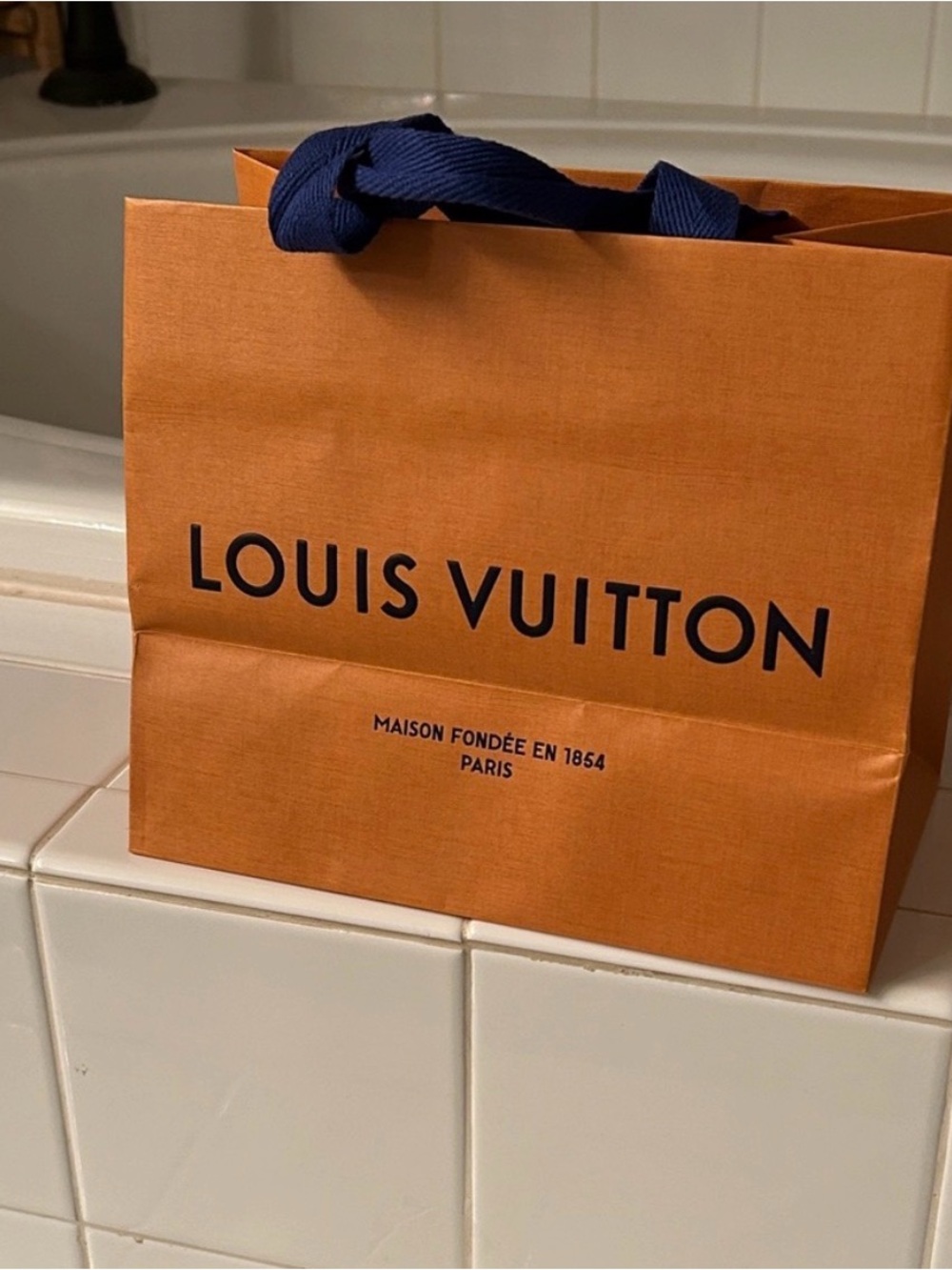 Louis Vuitton Shopping Tote Gift Bag - Picture 4 of 4